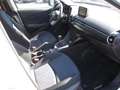 Mazda 2 2 III 2015 1.5d Evolve 105cv Bianco - thumbnail 6