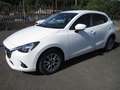 Mazda 2 2 III 2015 1.5d Evolve 105cv Bianco - thumbnail 1