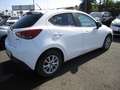 Mazda 2 2 III 2015 1.5d Evolve 105cv Bianco - thumbnail 2