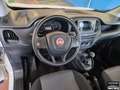 Fiat Doblo Fiat Doblò Cargo combi N1 1.3 mjt 16v 95cv E6 Bianco - thumbnail 12