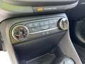 Ford Fiesta 1.0 Ecoboost 5 porte Titanium Gris - thumbnail 19