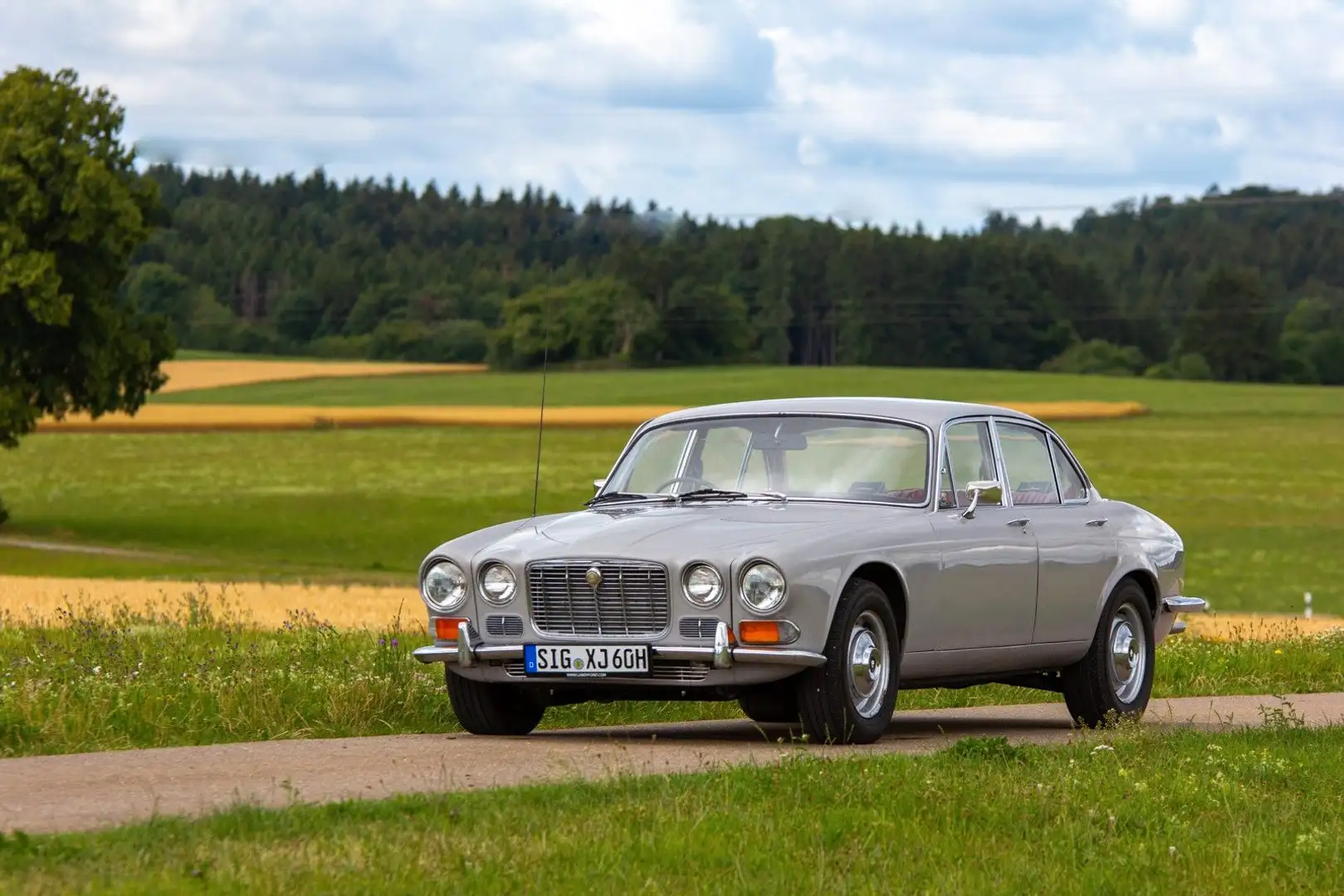 Jaguar XJ6 Grigio - 2