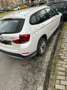 BMW X1 X1 E84 sdrive18d Sport Line Bianco - thumbnail 4