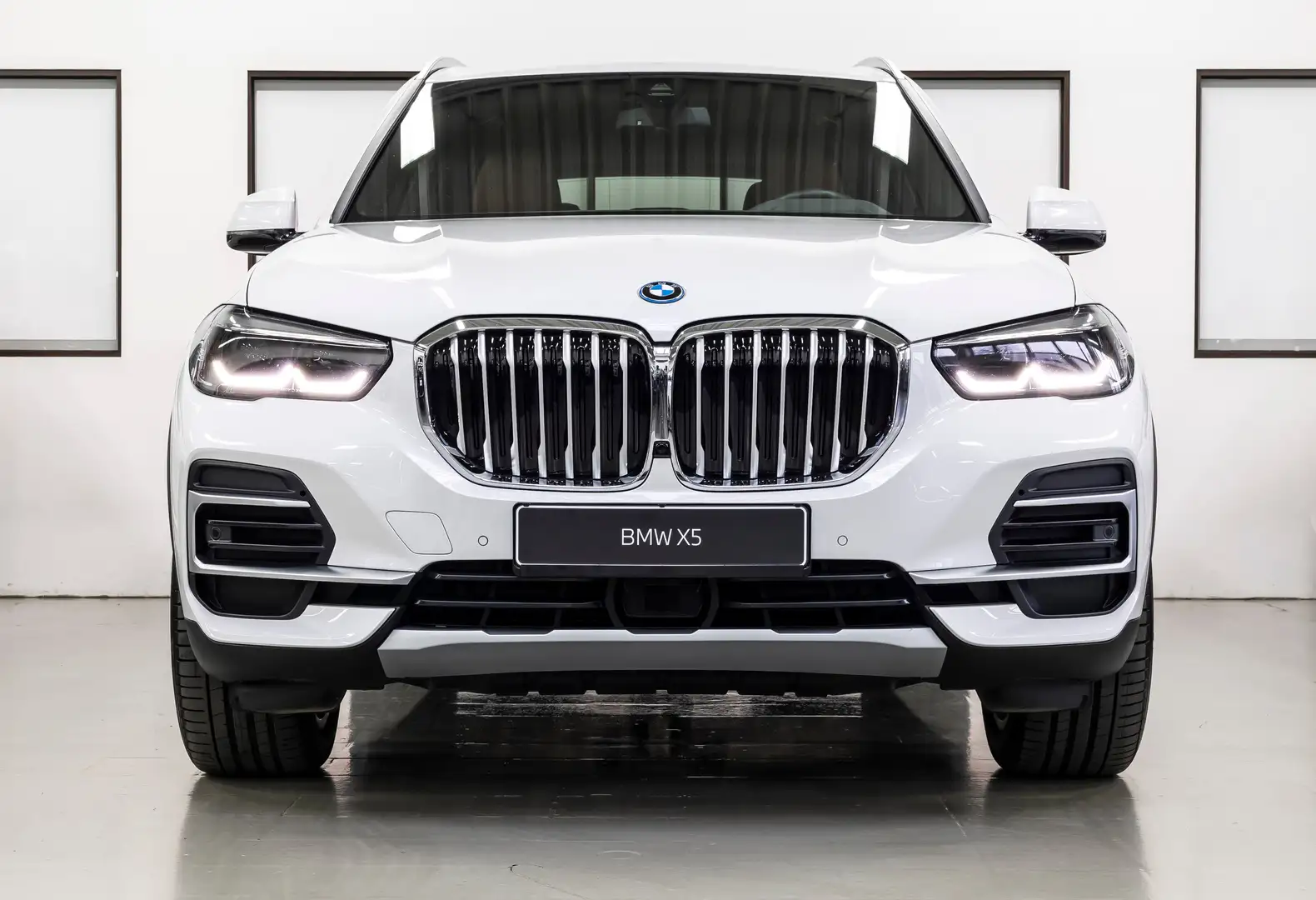 BMW X5 xd45e SAG LED LCP HUD ACC MEMO 2xLF KAM HiFi 20" Weiß - 2