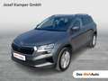 Skoda Karoq Selection TSI Grau - thumbnail 1