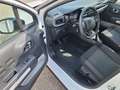Citroen C3 BlueHDi 100 Feel S&S Weiß - thumbnail 6