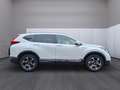 Honda CR-V 2.0 i-MMD HYBRID 4WD Executive Weiß - thumbnail 8