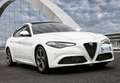 Alfa Romeo Giulia 2.2 Diesel Super Aut. 180 Gris - thumbnail 1