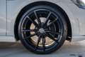 Volkswagen Golf 2.0 TSI R 4Motion I Pano I Milltek Wit - thumbnail 40
