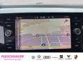 Volkswagen Polo VI Highline 1.0 TSI RK+Navi+PDC-Plus+LM17+SportPak Weiß - thumbnail 13