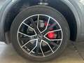 Audi Q5 40 TDI quattro-ultra Black line S tronic 150kW Gris - thumbnail 21