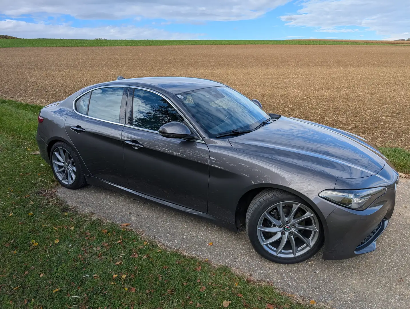 Alfa Romeo Giulia Giulia Super 2,0 200 AT RWD Super Grau - 2