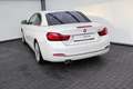 BMW 430 i Cabrio  Luxury Line LED Leder Navi AHK PDC Blanco - thumbnail 16