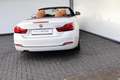 BMW 430 i Cabrio  Luxury Line LED Leder Navi AHK PDC Blanco - thumbnail 6