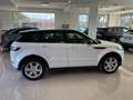 Land Rover Range Rover Evoque 2.2 SD4 5p. HSE Dynamic 119.000km Bianco - thumbnail 5