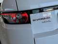 Land Rover Range Rover Evoque 2.2 SD4 5p. HSE Dynamic 119.000km Bianco - thumbnail 10