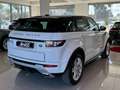 Land Rover Range Rover Evoque 2.2 SD4 5p. HSE Dynamic 119.000km Bianco - thumbnail 6