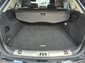 Ford Edge 2.0 EcoBlue 238 CV AWD Start&Stop aut. Vignale Nero - thumbnail 14