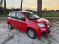 Fiat Panda 1.2 OTTIMO STATO !!! Rouge - thumbnail 3