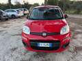 Fiat Panda 1.2 OTTIMO STATO !!! Rouge - thumbnail 2