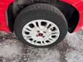 Fiat Panda 1.2 OTTIMO STATO !!! Rouge - thumbnail 9