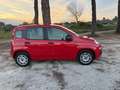 Fiat Panda 1.2 OTTIMO STATO !!! Rouge - thumbnail 4