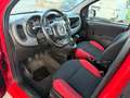 Fiat Panda 1.2 OTTIMO STATO !!! Rouge - thumbnail 12