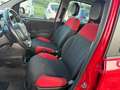 Fiat Panda 1.2 OTTIMO STATO !!! Rouge - thumbnail 13