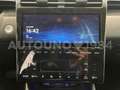 Hyundai TUCSON 1.6 hev Exellence 4wd auto Bleu - thumbnail 10