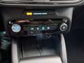 Ford Kuga 2.5 Duratec PHEV ST-Line 4x2 Negro - thumbnail 13