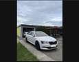 Skoda Superb Wagon 2.0 tsi Laurin&Klement 4x4 dsg Wit - thumbnail 8