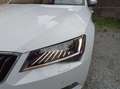 Skoda Superb Wagon 2.0 tsi Laurin&Klement 4x4 dsg Wit - thumbnail 12