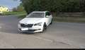 Skoda Superb Wagon 2.0 tsi Laurin&Klement 4x4 dsg Wit - thumbnail 11