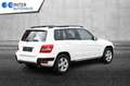 Mercedes-Benz GLK 350 4Matic*Sport-Paket*Off-Road*Panorama* Wit - thumbnail 3