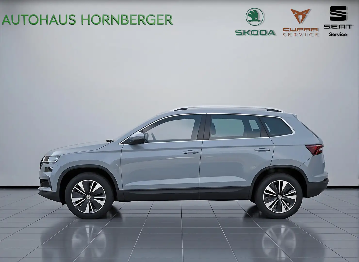 Skoda Karoq Ambition 1.5 TSI 150PS Kamera LED PDC 17"Alufelgen Gris - 2