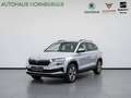 Skoda Karoq Ambition 1.5 TSI 150PS Kamera LED PDC 17"Alufelgen Gris - thumbnail 1