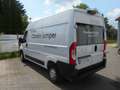 Citroen Jumper 140 L2H2 Transline Solution Klima Kamera Weiß - thumbnail 8