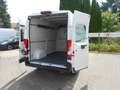Citroen Jumper 140 L2H2 Transline Solution Klima Kamera Weiß - thumbnail 13