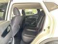 Nissan Qashqai 1.5 dci Business 115cv my20 Blanc - thumbnail 10