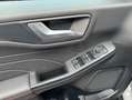 Ford Kuga 2.0 EcoBlue Aut. GRAPHITE TECH EDITION Grau - thumbnail 11