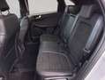 Ford Kuga 2.0 EcoBlue Aut. GRAPHITE TECH EDITION Grau - thumbnail 12