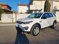 Land Rover Discovery Sport Discovery Sport 2.0 td4 Pure awd 150cv my18 Bianco - thumbnail 4
