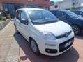 Fiat Panda Panda 1.3 MJT Van EASY 4 posti (N1) - thumbnail 1