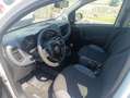 Fiat Panda Panda 1.3 MJT Van EASY 4 posti (N1) - thumbnail 5