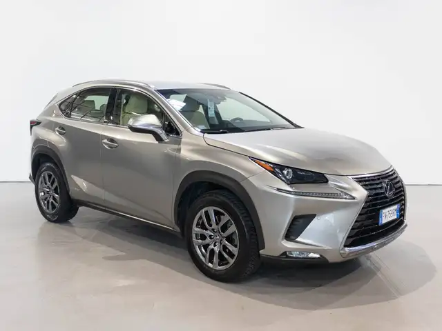 Lexus NX 300h 300h Luxury Tagliandi ufficiali