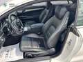 Mercedes-Benz E 250 250 211ch Sportline 7G-TRONIC PLUS Blanc - thumbnail 4