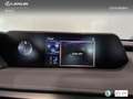 Lexus UX 250h Business 2WD Plateado - thumbnail 19