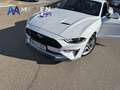 Ford Mustang Fastback 5.0 Ti-VCT GT Blanco - thumbnail 9