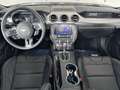 Ford Mustang Fastback 5.0 Ti-VCT GT Blanco - thumbnail 10