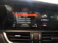 Alfa Romeo Giulia 2.2 Turbodiesel 210 CV AT8 AWD Q4 Veloce Grigio - thumbnail 15